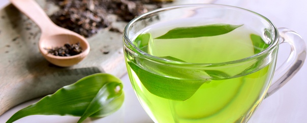 Польза зеленого чая