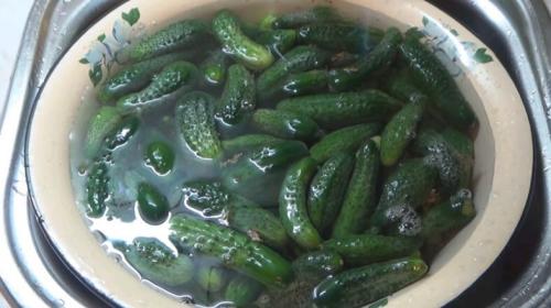 Салат огурцы в томате на зиму обалденный рецепт в томатной пасте. Огурцы в томате на зиму — обалденный рецепт «Пальчики оближешь»