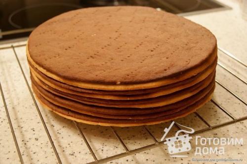 Торт белочка с безе. Торт "Белочка"