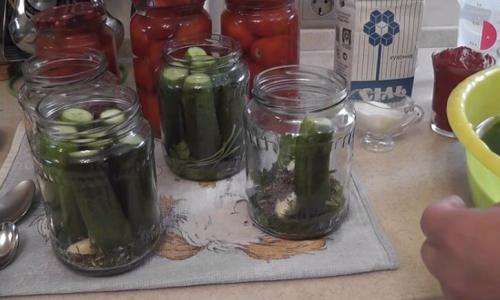 Салат огурцы в томате на зиму обалденный рецепт. Огурцы в томате на зиму — обалденный рецепт «Пальчики оближешь»