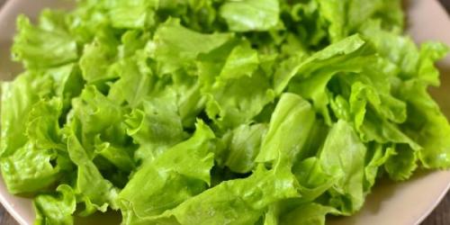 Как приготовить вкусную диетическую куриную грудку. Семь рецептов вкусных диетических блюд из куриной грудки