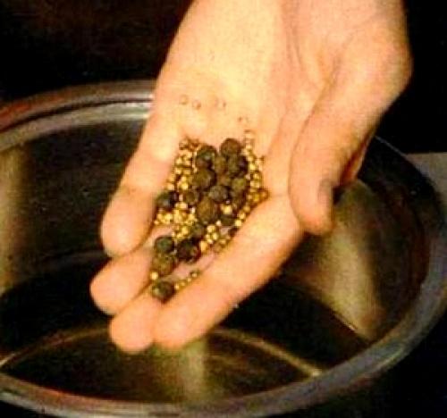 Запечь куриную грудку в духовке на бутерброды. Как приготовить куриную грудку для бутербродов