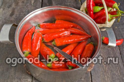 Маринованный острый перец на зиму по-армянски. Маринованный острый перец по-армянски