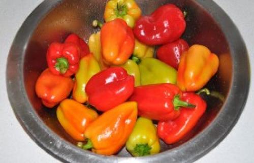 Сладкий перец на зиму с сахаром. Рецепт 2: маринованный сладкий перец на зиму