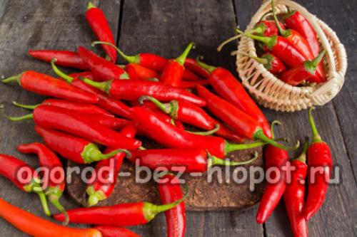 Маринованный острый перец на зиму по-армянски. Маринованный острый перец по-армянски
