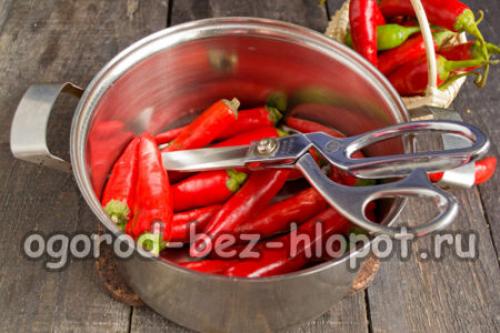Маринованный острый перец на зиму по-армянски. Маринованный острый перец по-армянски