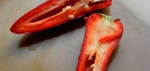 Перец острый маринованный на зиму простой рецепт. Вкусная заготовка в масле Маринованный острый перец в масле