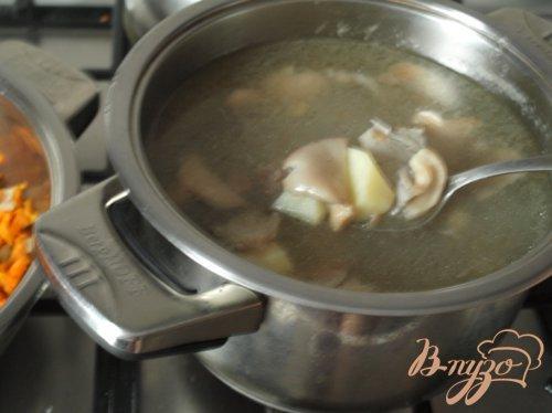 Суп с вешенками и перловкой. Суп с вешенками и перловой крупой 2019