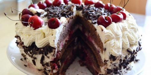 Торт без выпечки из шоколадного печенья. Приготовление шоколадных тортов с печеньем: рецепты с фото