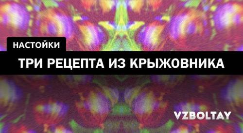 Настойка из крыжовника на спирту в домашних условиях рецепт. Настойка из крыжовника: 3 рецепта в домашних условиях