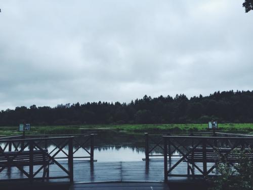 Булочки с клюквой и корицей джейми оливер. Шведские булочки