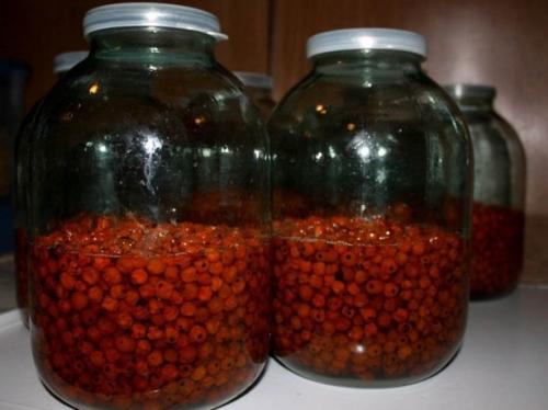 Настойка из малины в домашних условиях простой рецепт. Наливка из малины: 11 рецептов в домашних условиях