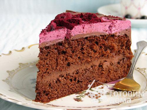 Шоколадно смородиновый торт. Шоколадный торт с черной смородиной