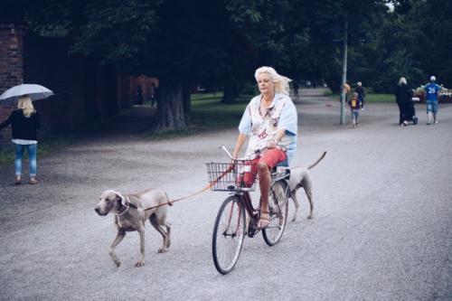 Булочки с клюквой и корицей джейми оливер. Шведские булочки