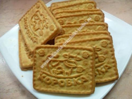 Полезные конфеты из творога. Конфеты из творога