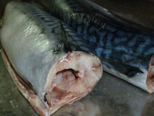 Сагудай из скумбрии рецепт ютуб. Сугудай из скумбрии. Восхитительный рецепт засолки