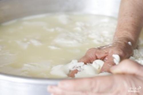 Сыр из молока и уксуса. Домашний сыр из молока и уксуса