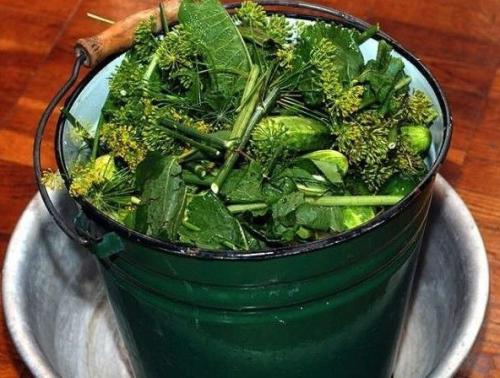 Засолка огурцов на зиму хрустящие в литровые банки. Самый вкусный рецепт на зиму соленых огурцов как в бочке