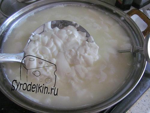 Изготовление домашнего сыра с пепсином. Домашний сыр с пепсином. Рецепт