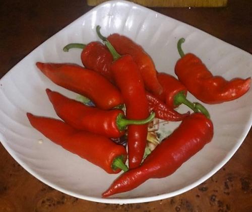 Огонек из острого перца.