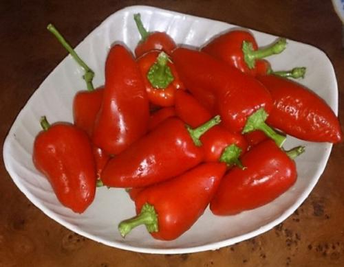 Огонек из острого перца.