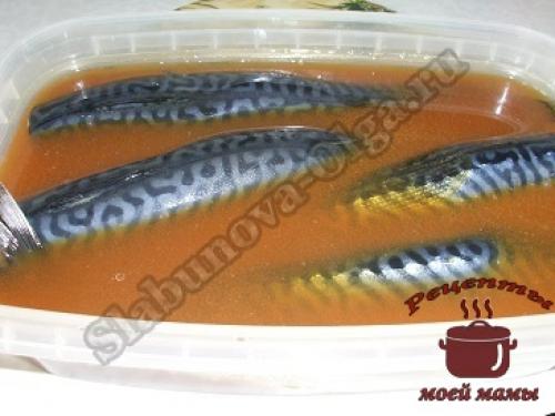 Маринованная скумбрия в чае. Скумбрия маринованная в чае, как копченая
