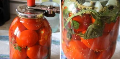 Маринованные помидоры рецепт на зиму в банках. Красные томаты, маринованные с горчицей, на зиму