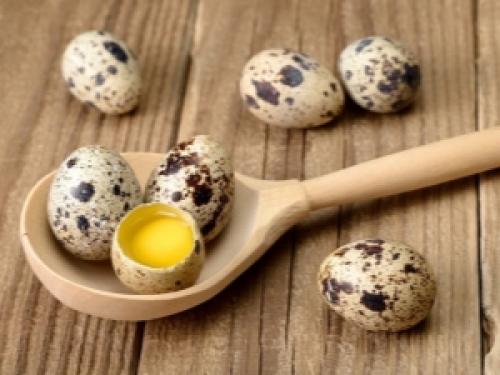 Блюда с перепелиными яйцами. Способы приготовления перепелиных яиц
