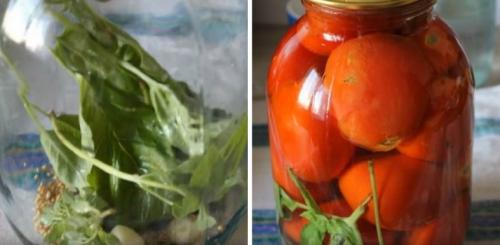 Маринованные помидоры рецепт на зиму в банках. Красные томаты, маринованные с горчицей, на зиму