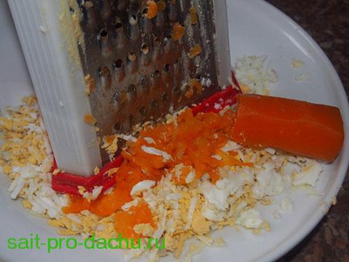 Салат с вареной морковью и яйцом. Салат с вареной морковкой, сыром и яйцами