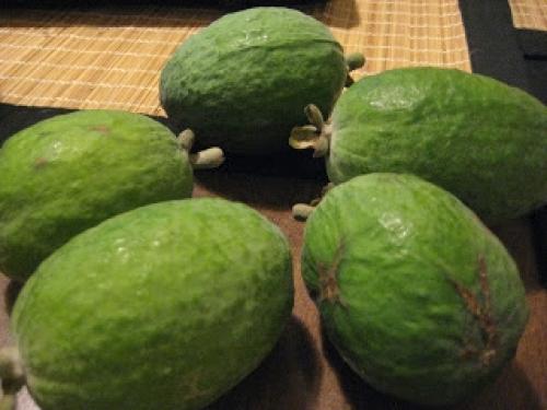 Фейхоавое варенье. Как сварить экзотическое варенье из фейхоа