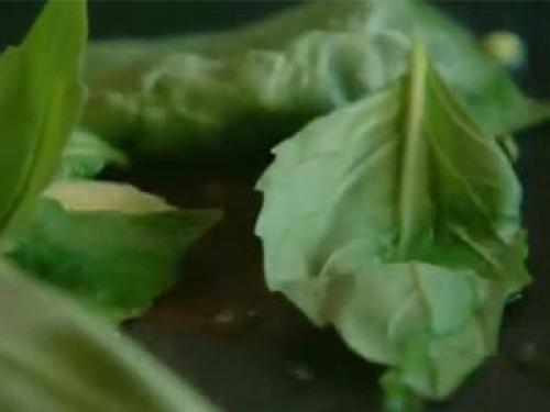 Паста с фрикадельками от джейми оливера. Быстрые фрикадельки с томатным соусом и спагетти