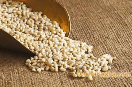 Вкуснейшая перловка с грибами. Рецепт приготовления перловой каши с грибами