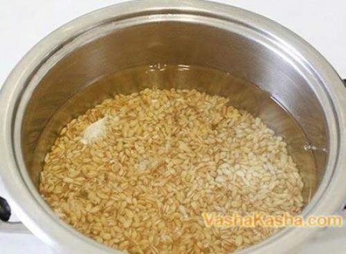 Вкуснейшая перловка с грибами. Рецепт приготовления перловой каши с грибами