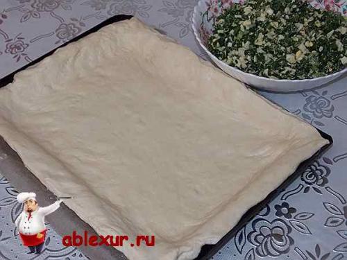 Пирог с зелёным луком и яйцом в духовке. Пирог с зеленым луком и яйцом: рецепт с фотографиями