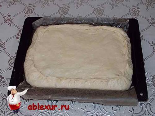 Пирог с зелёным луком и яйцом в духовке. Пирог с зеленым луком и яйцом: рецепт с фотографиями