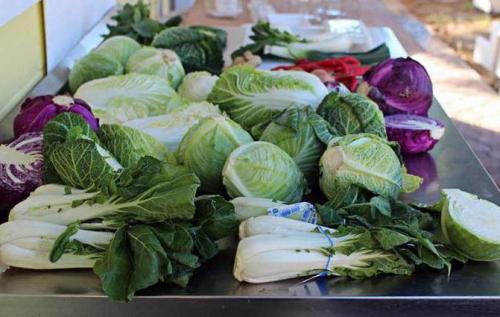 Салат цезарь на сушке. Популярные рецепты салатов для сушки тела