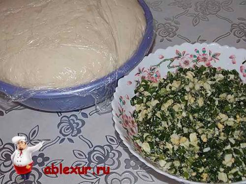 Пирог с зелёным луком и яйцом в духовке. Пирог с зеленым луком и яйцом: рецепт с фотографиями
