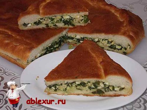 Пирог с зелёным луком и яйцом в духовке. Пирог с зеленым луком и яйцом: рецепт с фотографиями
