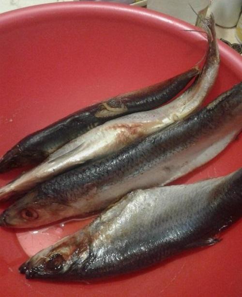 Как солить сельдь в домашних условиях быстро. Как засолить свежую селедку в домашних условиях быстрым способом (всего за 2 часа)