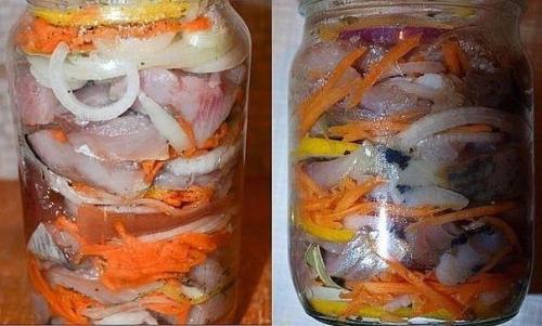 Как солят сельдь в голландии. Как засолить сельдь в банке по-голландски