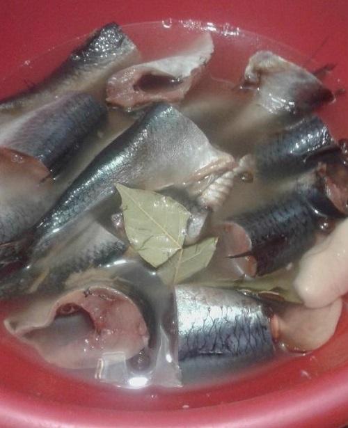 Как солить сельдь в домашних условиях быстро. Как засолить свежую селедку в домашних условиях быстрым способом (всего за 2 часа)