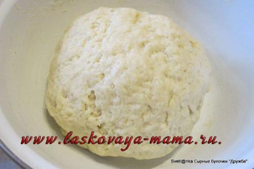 Булочки с плавленным сыром. Сырные булочки «Дружба»