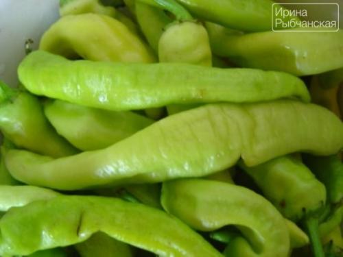 Горький перец маринованный по-армянски. Как приготовить на зиму бесподобный горький перец по армянски по настоящим проверенным рецептам?