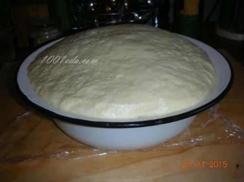 Тесто на простокваше для булочек. Булочки из сдобного дрожжевого теста на простокваше с какао: пошагово с фото