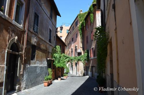 Банки для тирамису. Тирамису в стеклянных банках