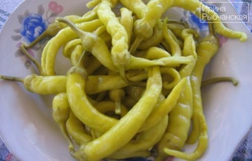 Горький перец маринованный по-армянски. Как приготовить на зиму бесподобный горький перец по армянски по настоящим проверенным рецептам?