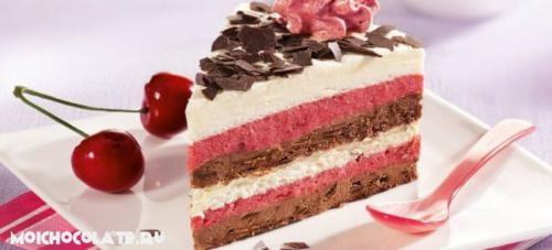 Торт Муссовый с вишней. Муссовый торт вишня шоколад в домашних условиях
