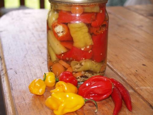 Маринованный горький перец. Горький перец маринованный на зиму