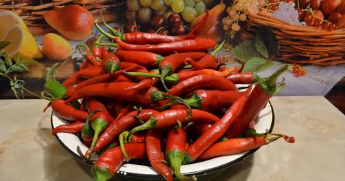 Маринованный горький перец. Горький перец маринованный на зиму